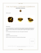 2.51 Ct. Yellowish Brown Sapphire from Ceylon (Sri Lanka) Appraisal