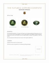 Jewelry Appraisal