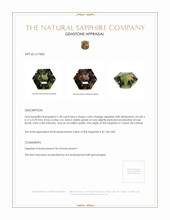 Jewelry Appraisal