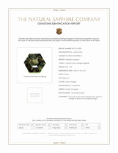 Jewelry Scan Report