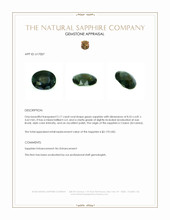 Jewelry Appraisal