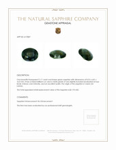 Jewelry Appraisal