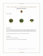 Jewelry Appraisal