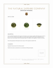 Jewelry Appraisal