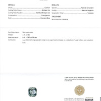 Jewelry Scan Report
