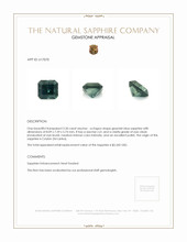 3.30 Ct. Greenish Blue Sapphire from Ceylon (Sri Lanka) Appraisal