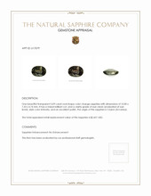 Jewelry Appraisal