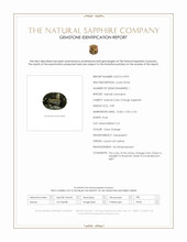 Jewelry Scan Report