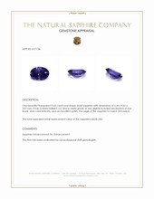 Jewelry Appraisal