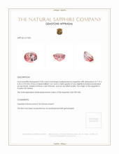 Jewelry Appraisal