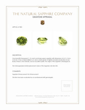 Jewelry Appraisal