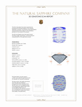 Jewelry 3 D Scan Report