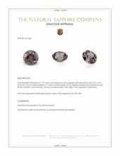Jewelry Appraisal