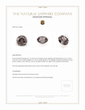 Jewelry Appraisal