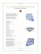 Jewelry 3 D Scan Report