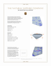 Jewelry 3 D Scan Report
