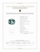 Jewelry Scan Report