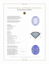 Jewelry 3 D Scan Report