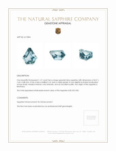 Jewelry Appraisal