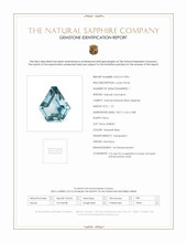 Jewelry Scan Report