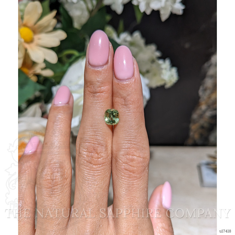 2.03 Ct. Yellowish Green Sapphire from Montana