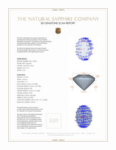 Jewelry 3 D Scan Report