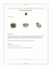 0.75 Ct. Green Sapphire from Montana Appraisal