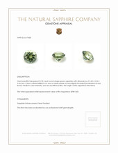 Jewelry Appraisal