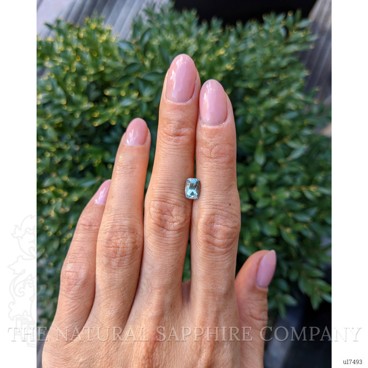 1.42 Ct. Green Sapphire from Montana