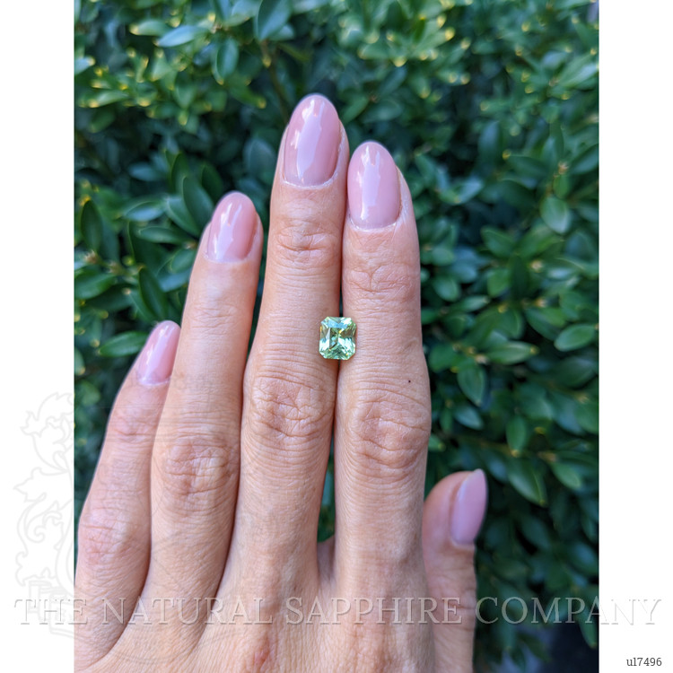 1.66 Ct. Yellowish Green Sapphire from Montana