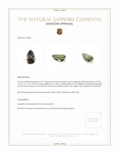 Jewelry Appraisal