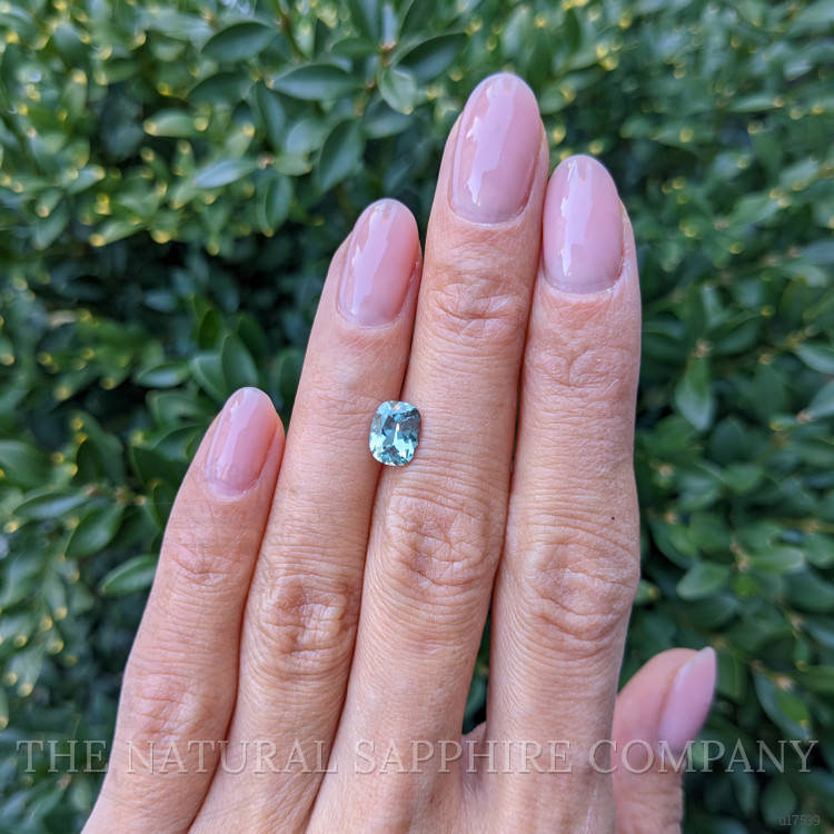 1.43 Ct. Greenish Blue Sapphire from Montana