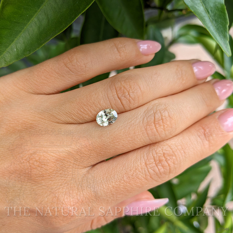 1.56 Ct. Green Sapphire from Montana