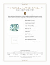 Jewelry Scan Report