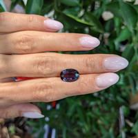 4.38 Ct. Purple Sapphire from Ceylon (Sri Lanka) Life Style