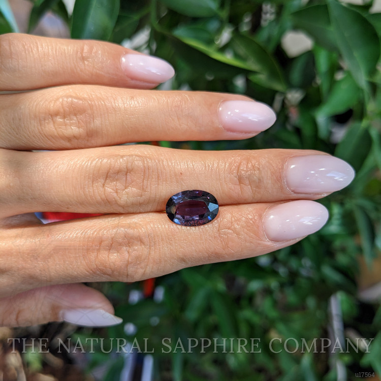 4.38 Ct. Purple Sapphire from Ceylon (Sri Lanka)