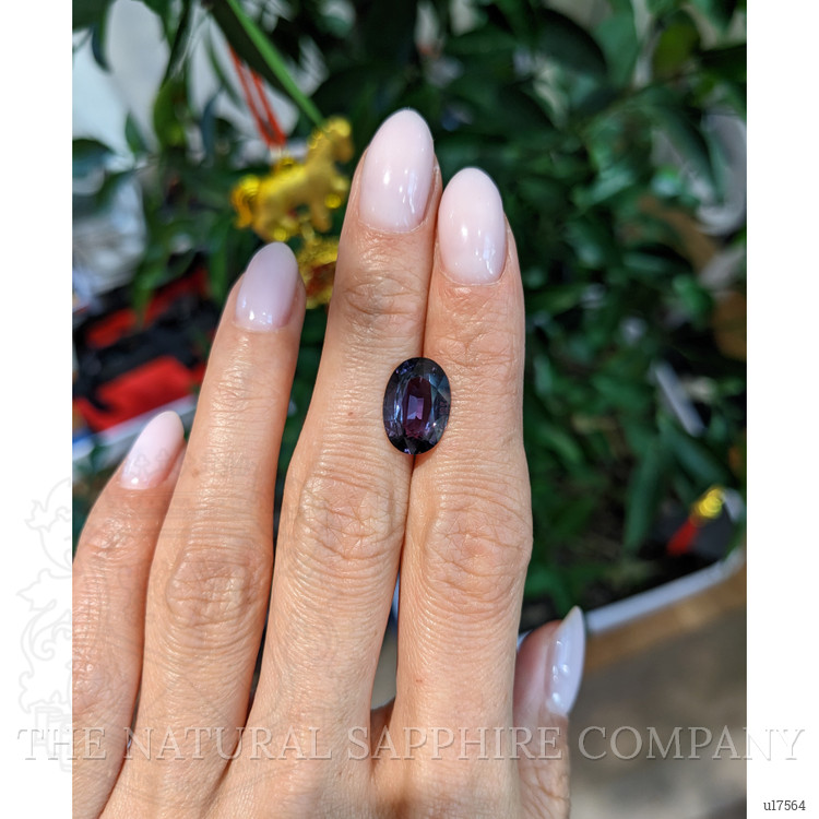 4.38 Ct. Purple Sapphire from Ceylon (Sri Lanka)