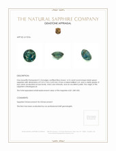 Jewelry Appraisal