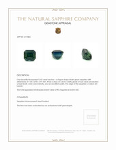 3.02 Ct. Bluish Green Sapphire from Ceylon (Sri Lanka) Appraisal