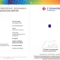 5.01 Ct. Purple Sapphire from Ceylon (Sri Lanka) Scan Report