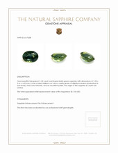 1.28 Ct. Bluish Green Sapphire from Ceylon (Sri Lanka) Appraisal