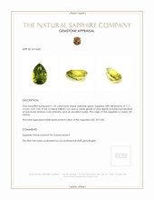 1.29 Ct. Sapphire from Ceylon (Sri Lanka) Appraisal