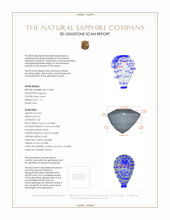 Jewelry 3 D Scan Report