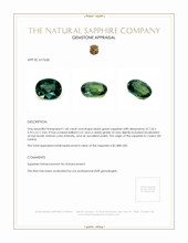 1.60 Ct. Bluish Green Sapphire from Ceylon (Sri Lanka) Appraisal