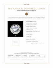 Jewelry Scan Report
