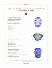 Jewelry 3 D Scan Report