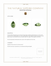 Jewelry Appraisal
