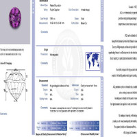Jewelry Scan Report