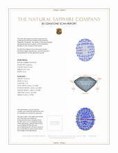 Jewelry 3 D Scan Report