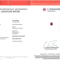 4.01 Ct. Ruby from Burma (Myanmar) Pdf